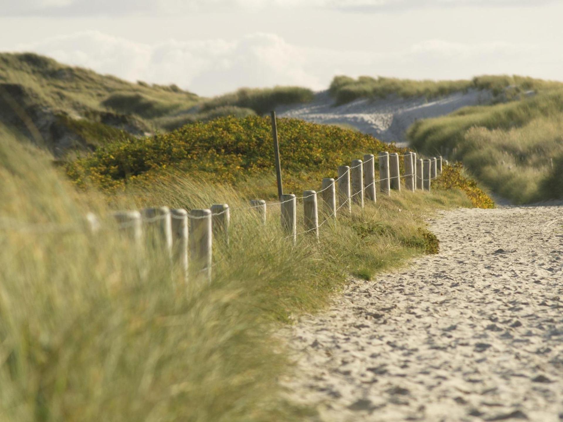 Sylt 3 *